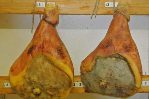 prosciutto-modena-e-parma-con-osso-d-o-p